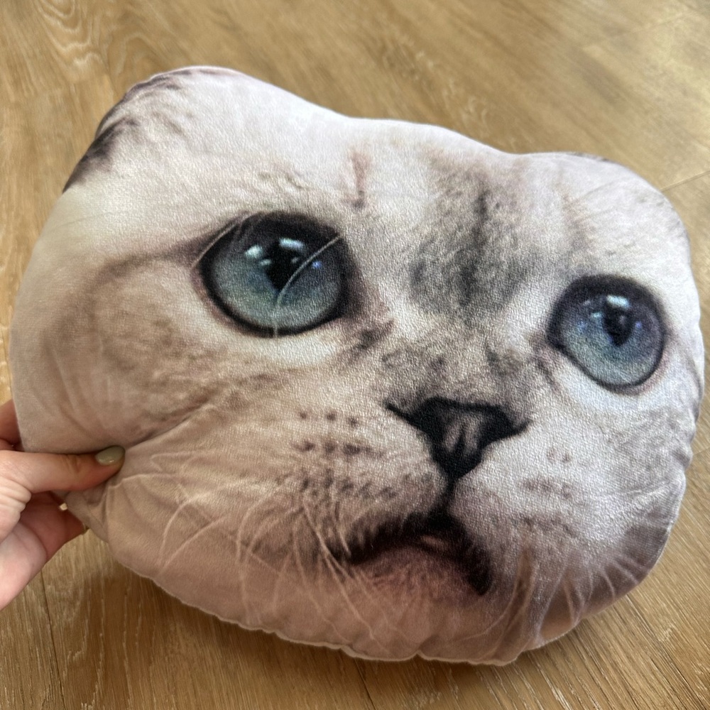 Taylor Swift Meredith & Olivia Pillows Original Merch (Rep Era) - Picture 4 of 7